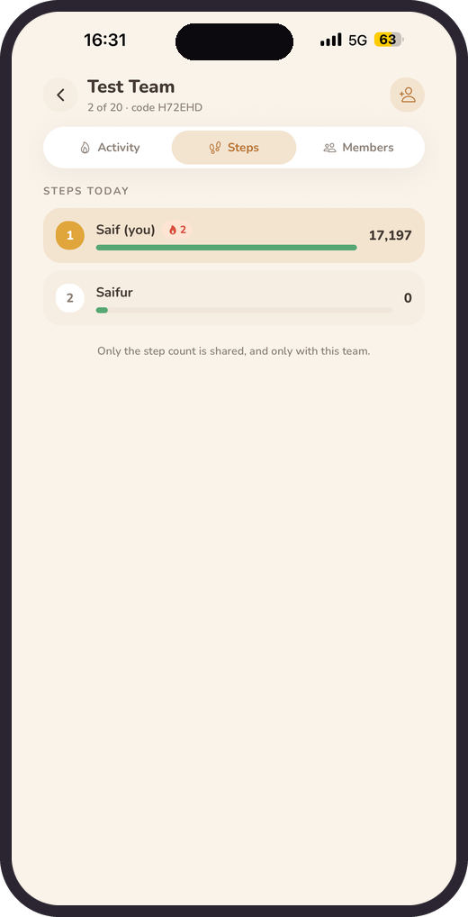 The team step leaderboard for the day